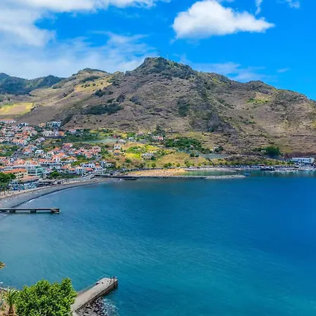 Sun Flower By Madeira *