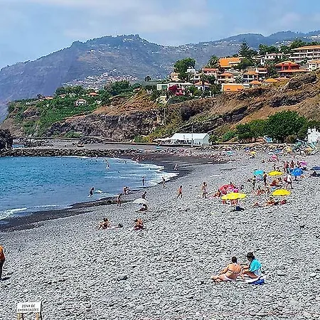 Sun Flower By Madeira Διαμέρισμα
